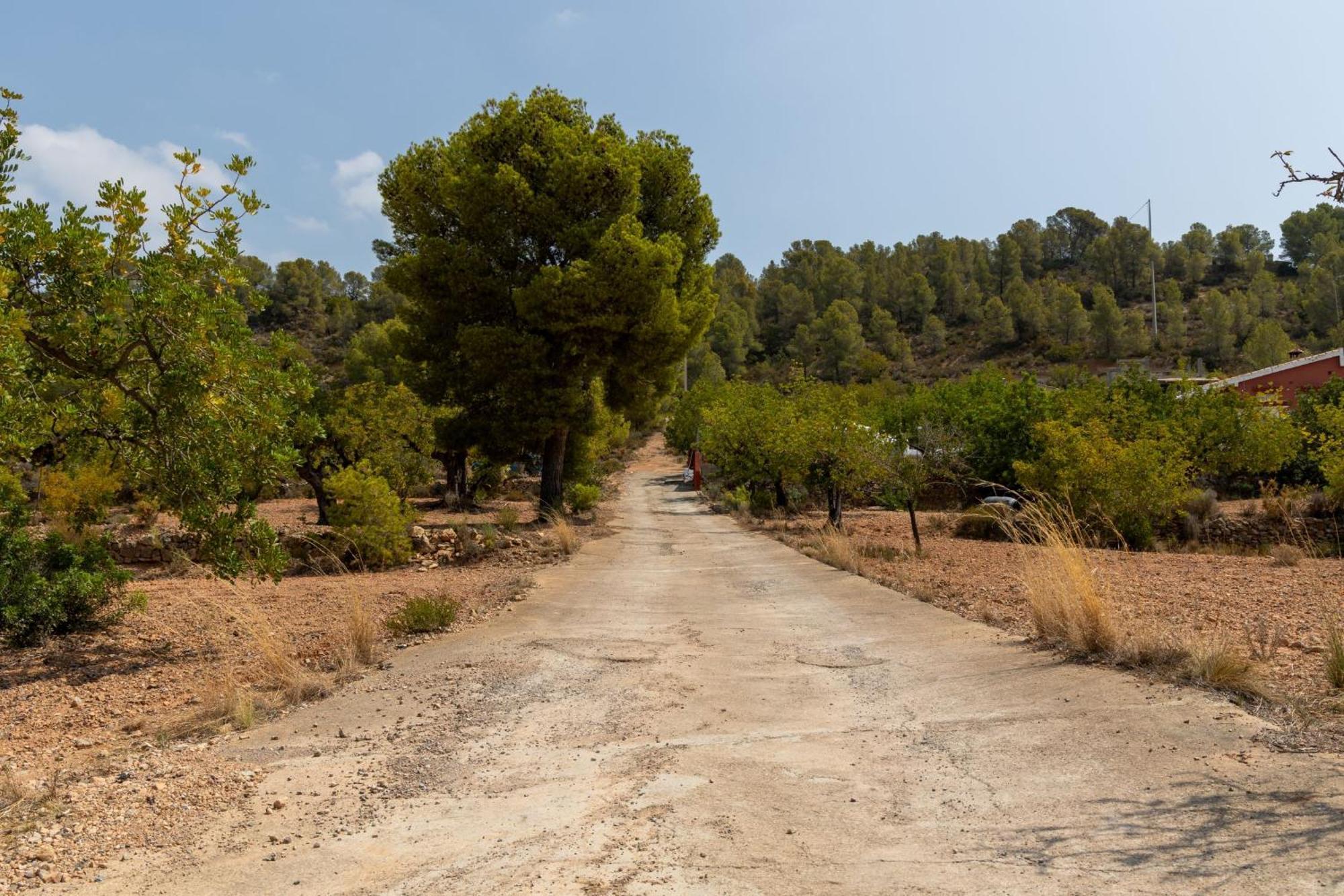 Finca El Escondite Olocau Kültér fotó