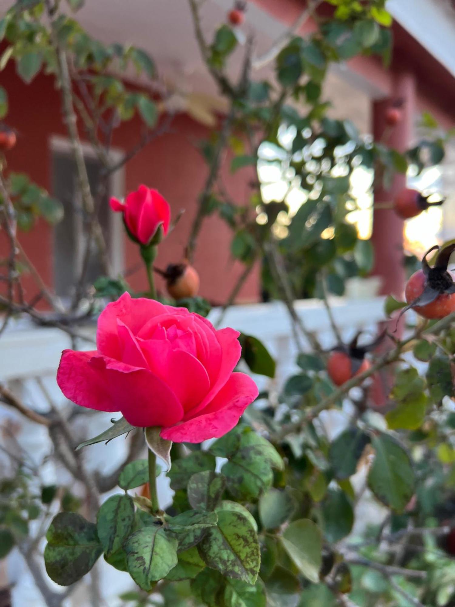 Finca El Escondite Olocau Kültér fotó